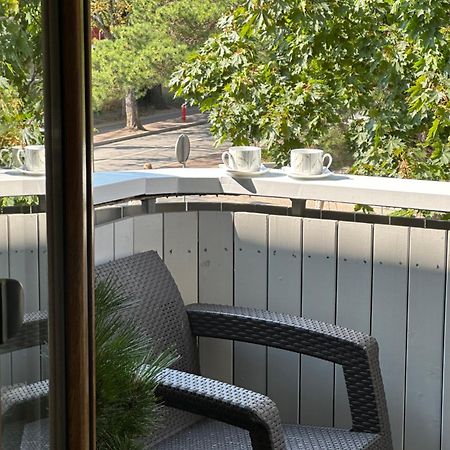 Alintoma Holiday Apartment Паланга Екстериор снимка